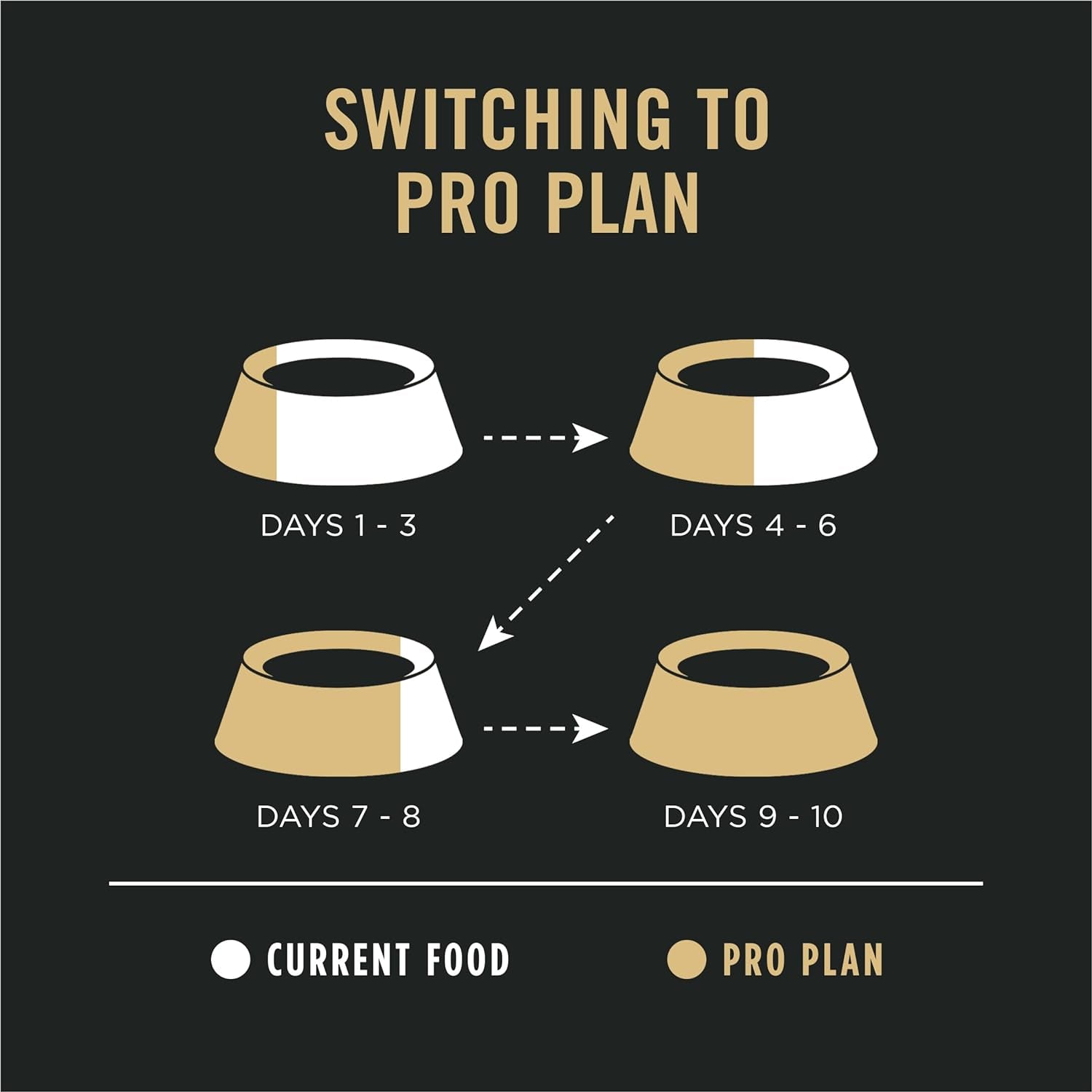 Sensitive Skin and Stomach Dog Food Dry, Adult Salmon & Rice Formula, Digestive Health - 40 Lb. Bag