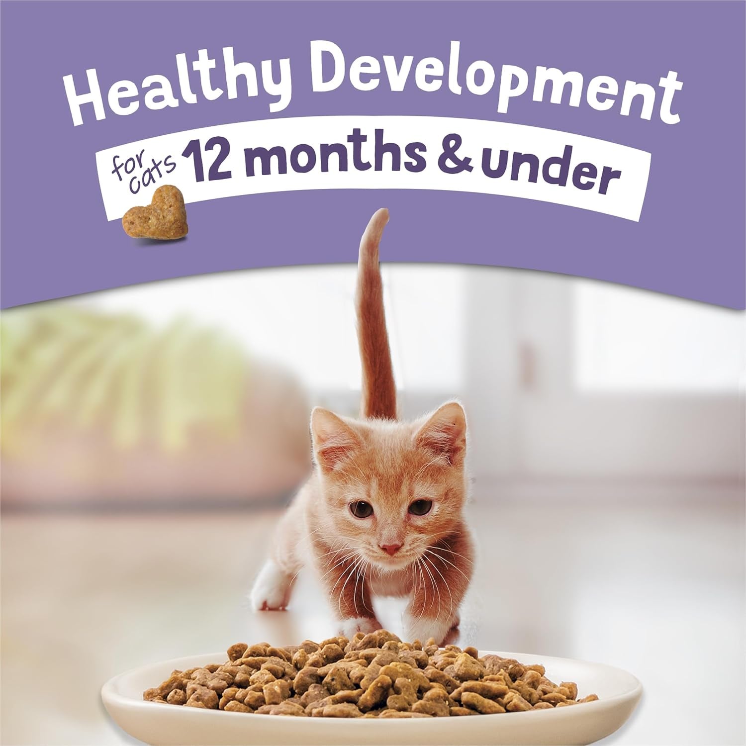 Purina Kitten Chow Dry Cat Food