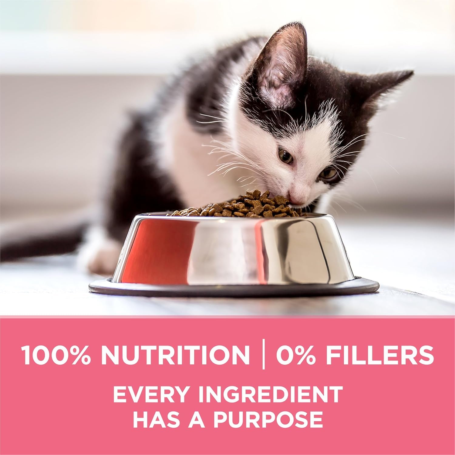 High Protein, Natural Dry Kitten Food, +Plus Healthy Kitten Formula - 16 Lb. Bag