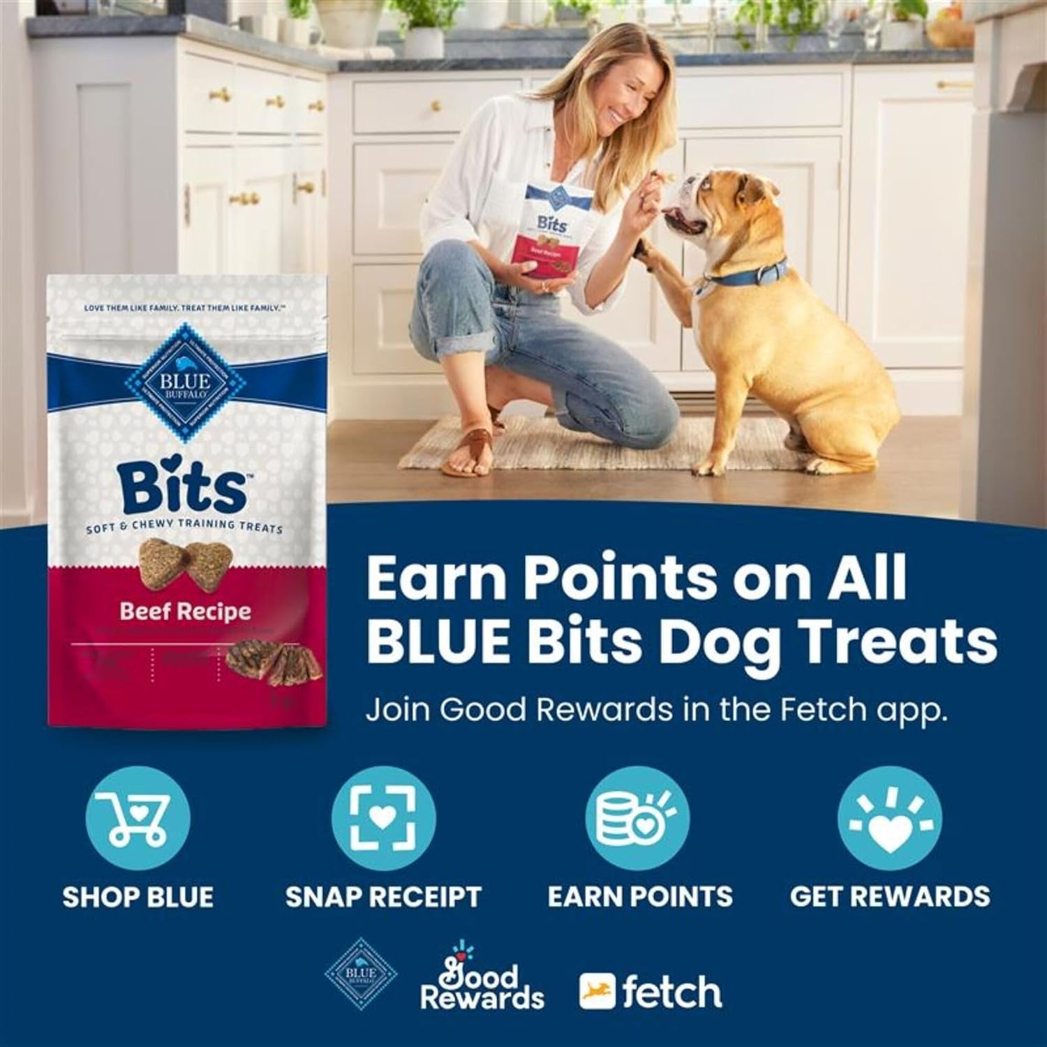 Bits Soft Dog Treats for Training, Made with Natural Ingredients & Enhanced with DHA, Beef Recipe, 19-Oz Bag
